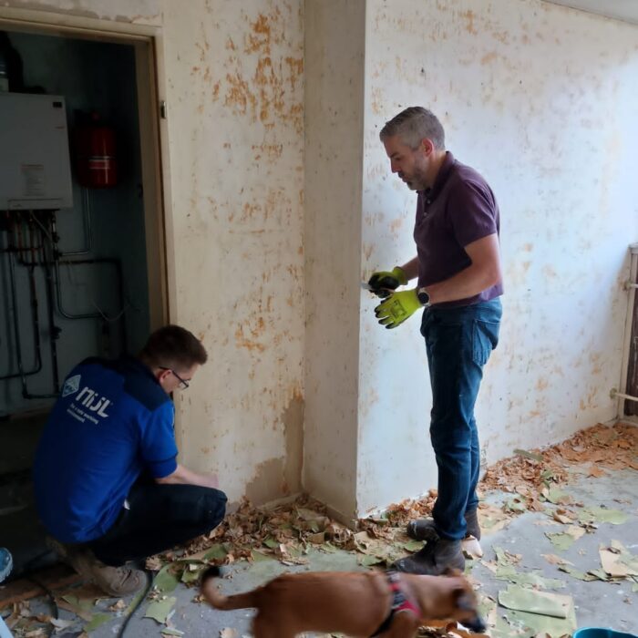 Present Zwolle - NIJL Present Zwolle - NIJL